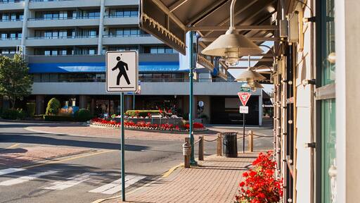 Pedestrian Zone with Roundabout and Flowers in Downtown Sidney