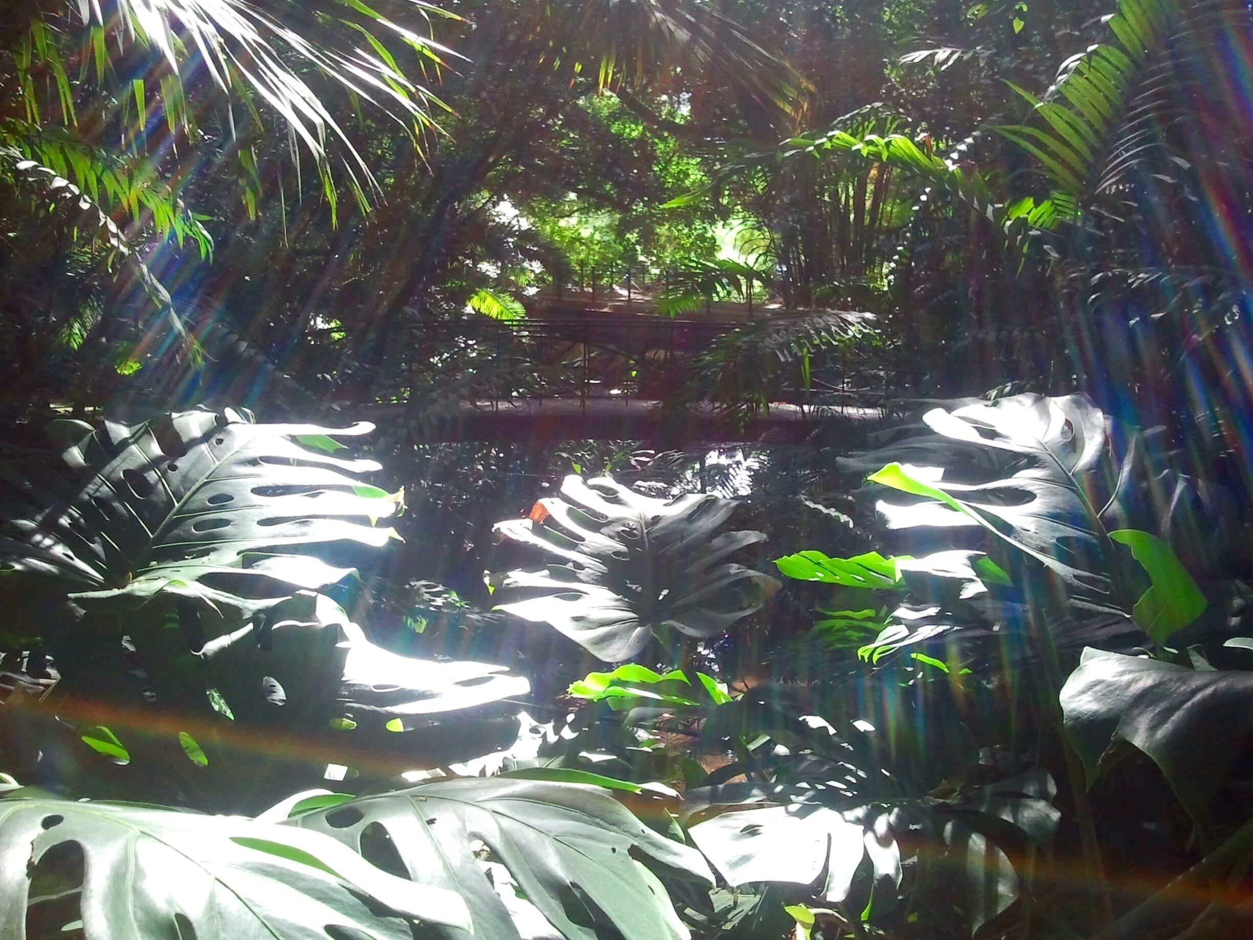 Loved discovering the old botanical garden in Malaga. It was quiet and beautiful. 