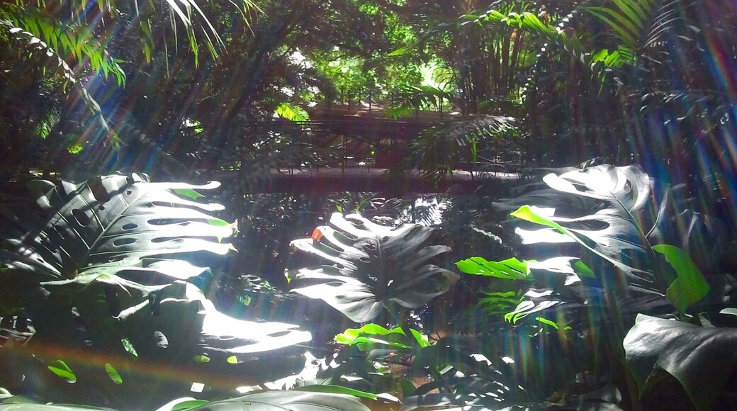 Loved discovering the old botanical garden in Malaga. It was quiet and beautiful.
