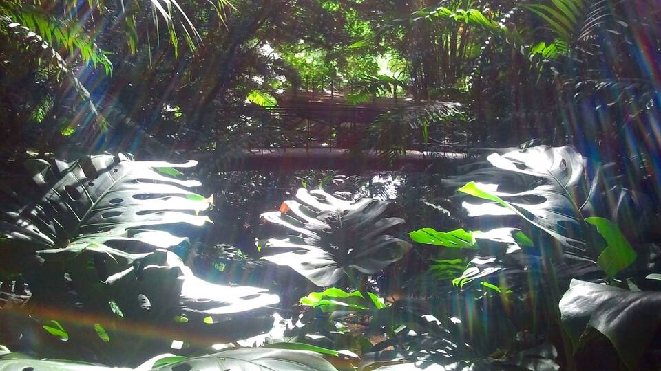 Loved discovering the old botanical garden in Malaga. It was quiet and beautiful.