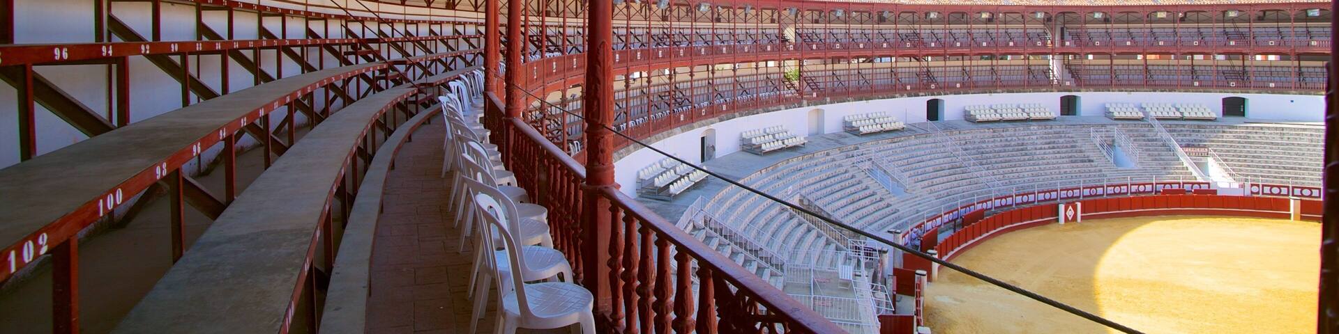 Plaza de Toros de la Malagueta featuring a city