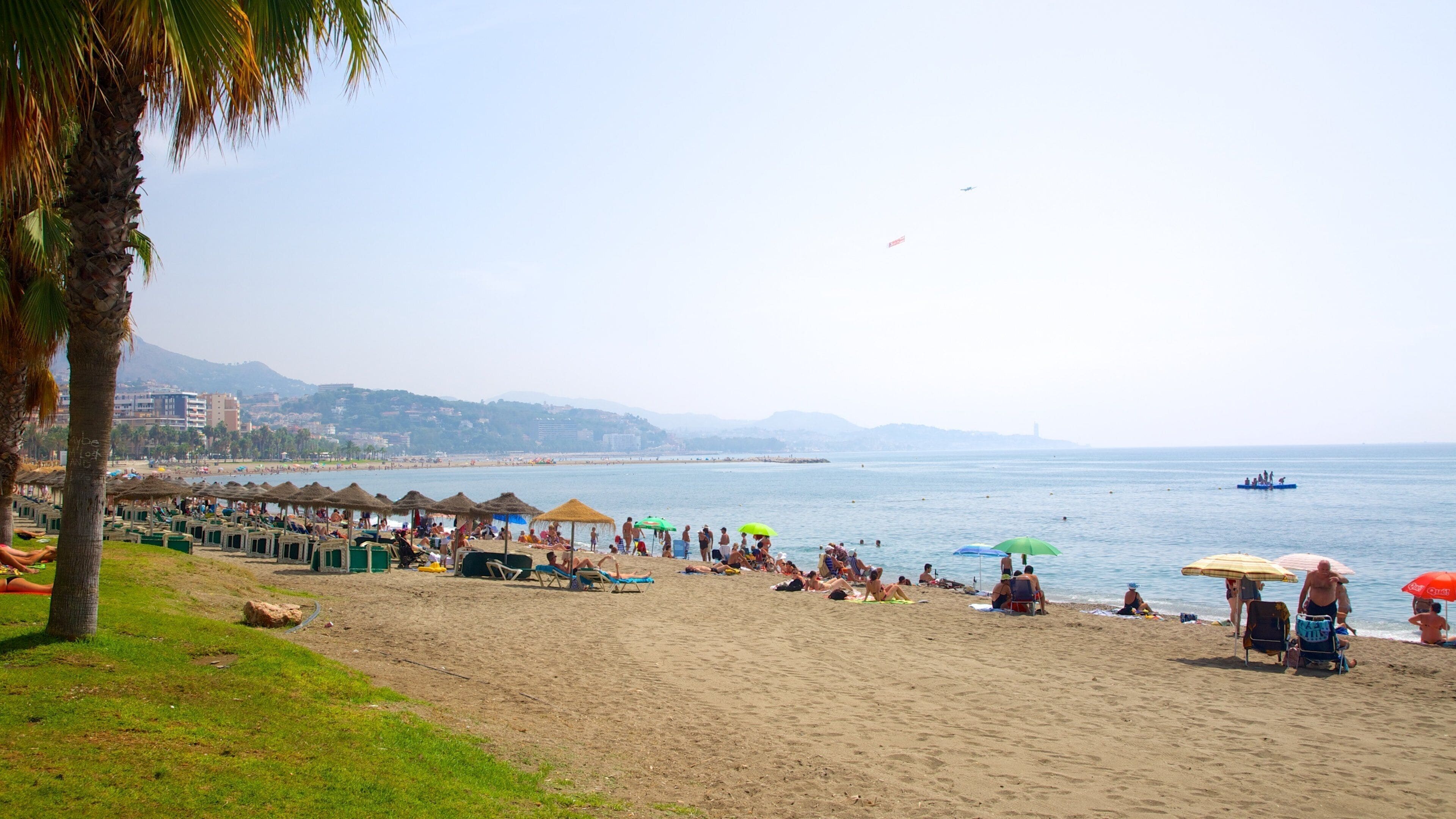 A beach with palm trees, umbrellas, and people relaxing.