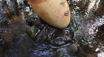 Apart from the cafe, this is just one of the many surprises in one of the largest botanical gardens in Europe. Bit of a shame it is right next to the highway now. Still a great place to explore.
- There is a shuttle service to downtown.
http://laconcepcion.malaga.eu/en/