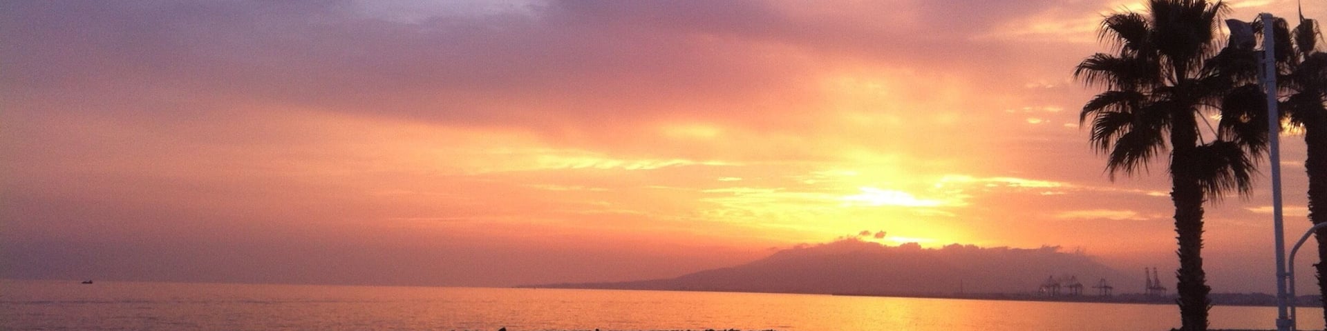 Where dreams come true