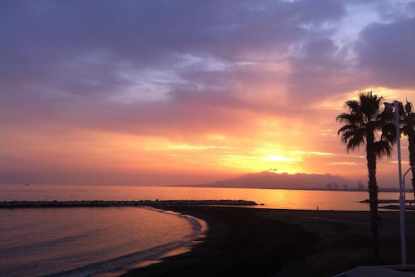 Where dreams come true