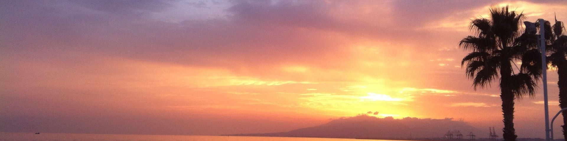 Where dreams come true