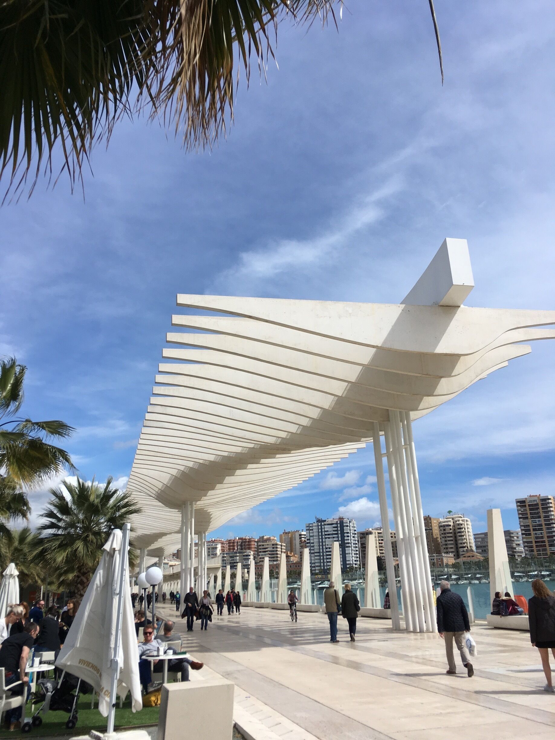 #Urbanjungle
Beautiful walk along the Mediterranean coast in Malaga, Spain. 