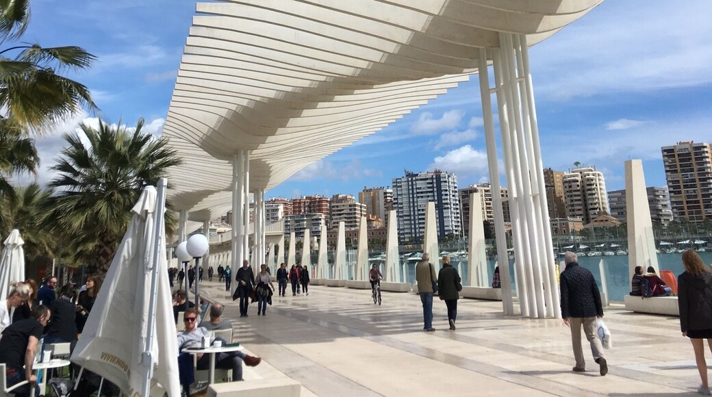 #Urbanjungle
Beautiful walk along the Mediterranean coast in Malaga, Spain.