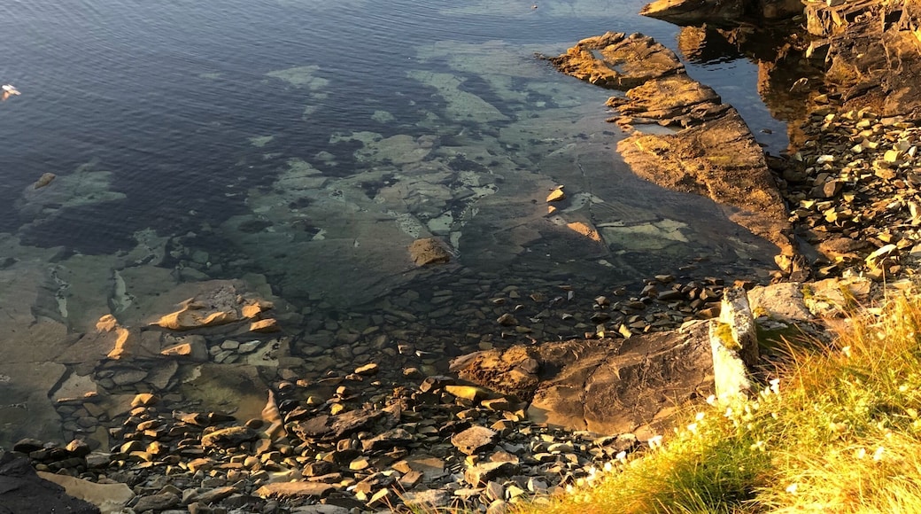 Clear water and tidal pools at the Knab.