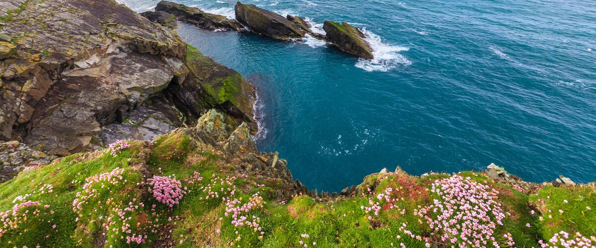 A coastal landscape with rocky cliffs, a sea view, and pink flowers.