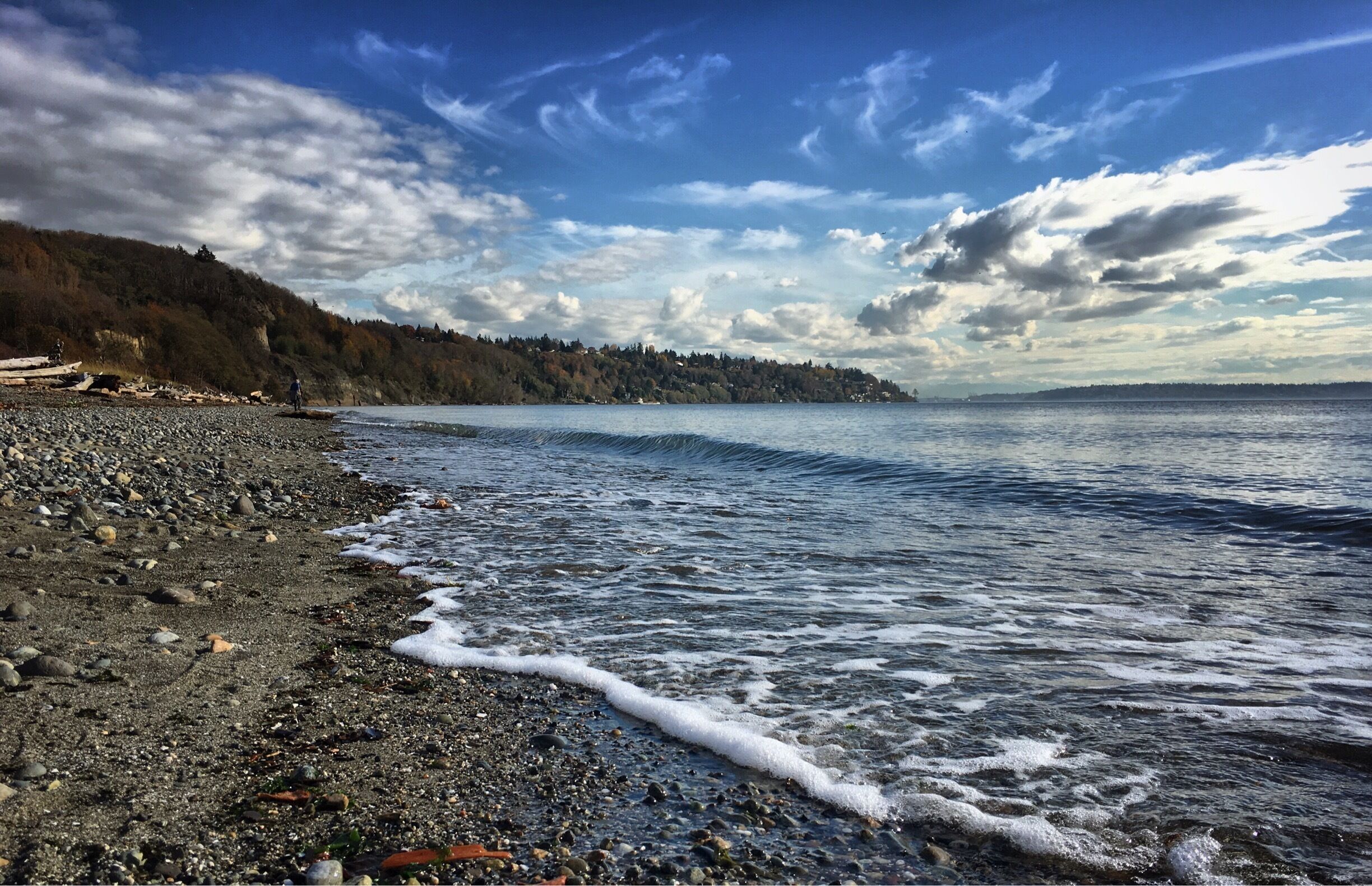 Discovery park beach in the fall...