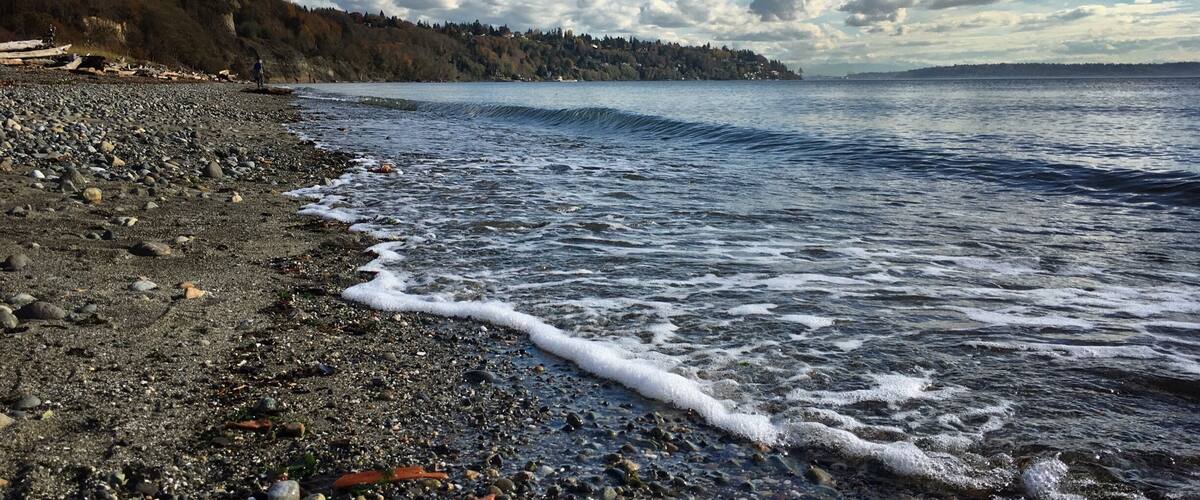 Discovery park beach in the fall...
