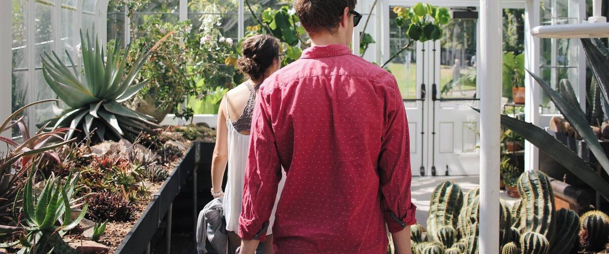 I love greenhouses, conservatories, any glass structure with a dramatic number of plant life stuck inside of it.
If you're in Seattle for a weekend, explore Volunteer Park, the cute neighborhood that surrounds it, and walk through the conservatory for $4.