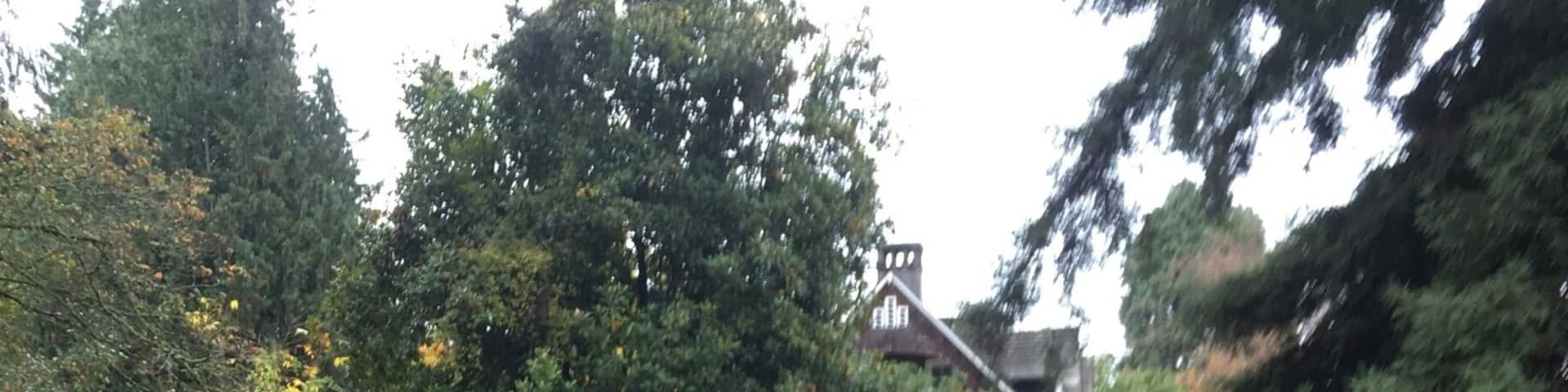 Viretta Park is located to the south of the former home of Kurt Cobain, where he died. Nirvana fans gather at the park on the anniversary of Cobain's death (April 5), and to a lesser extent on his birthday (Feb 20), to pay tribute to the musician.
The park's wooden benches, serving as the de facto memorial to Kurt Cobain in Seattle, are covered with graffiti messages to the rock icon. There has been much speculation over the years on whether the name of the park should be changed to "Kurt's Park", due to the late rock icons large fan base.