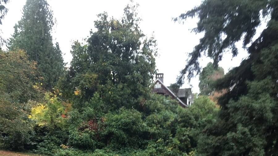 Viretta Park is located to the south of the former home of Kurt Cobain, where he died. Nirvana fans gather at the park on the anniversary of Cobain's death (April 5), and to a lesser extent on his birthday