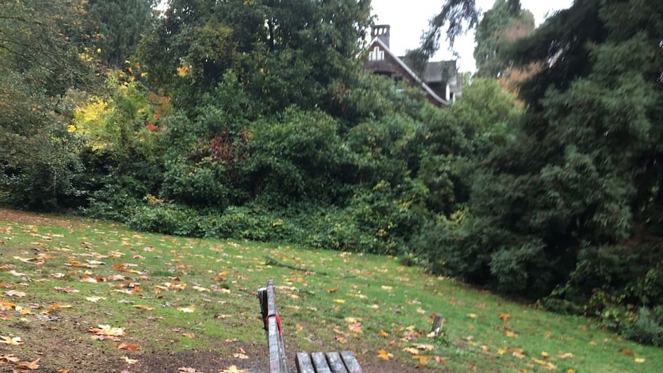 Viretta Park is located to the south of the former home of Kurt Cobain, where he died. Nirvana fans gather at the park on the anniversary of Cobain's death (April 5), and to a lesser extent on his birthday (Feb 20), to pay tribute to the musician.
The park's wooden benches, serving as the de facto memorial to Kurt Cobain in Seattle, are covered with graffiti messages to the rock icon. There has been much speculation over the years on whether the name of the park should be changed to "Kurt's Park", due to the late rock icons large fan base.