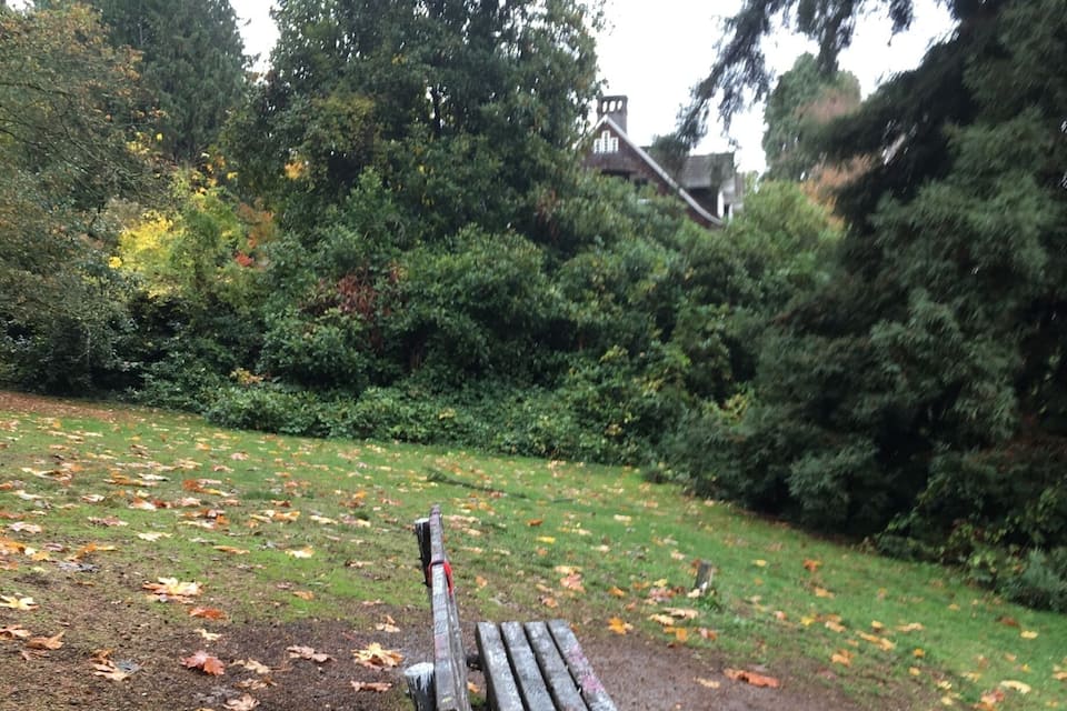Un banc al passeig envoltat d'arbres i fulles caigudes.