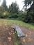 A park bench surrounded by trees and fallen leaves.