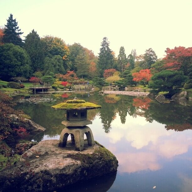 華盛頓樹木公園