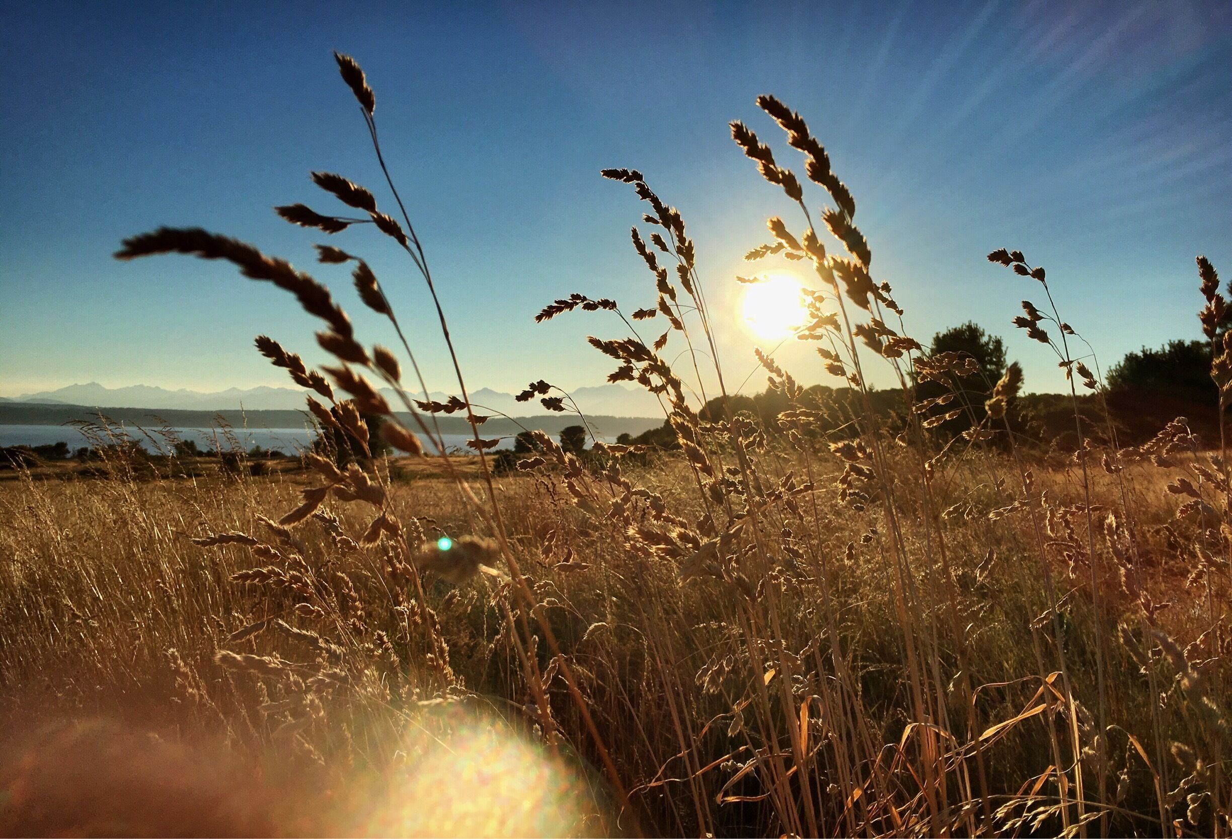 summer evening hike, around @ 8:30pm in late July....