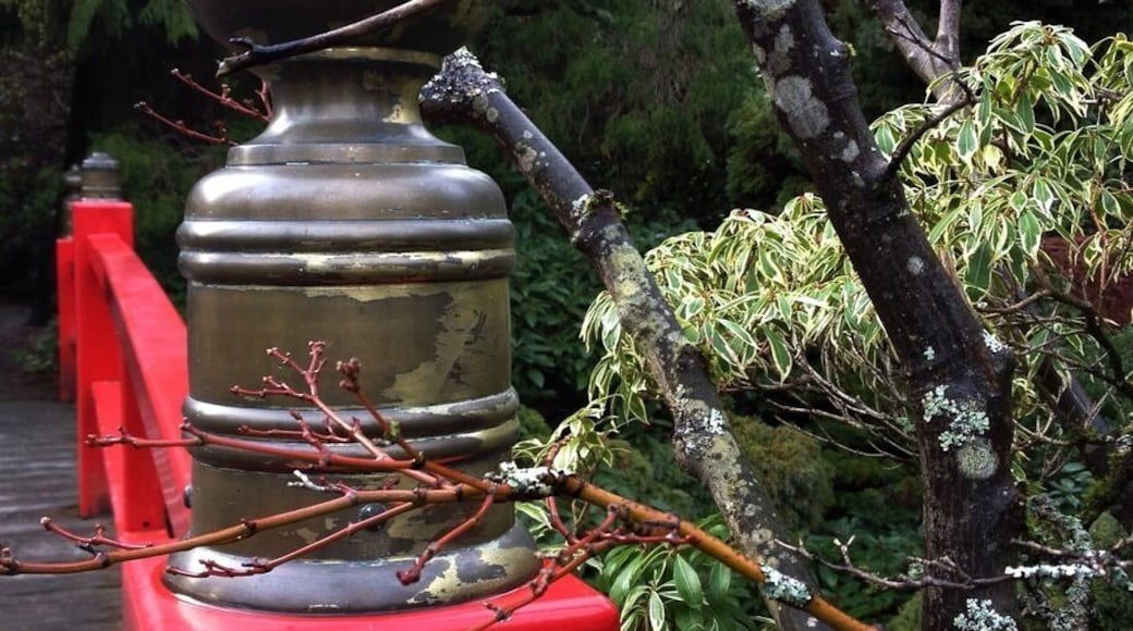 Great free spot on a sunny day.