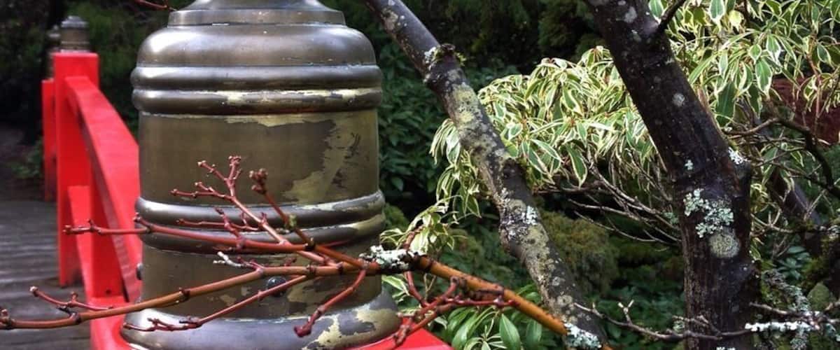 Great free spot on a sunny day.