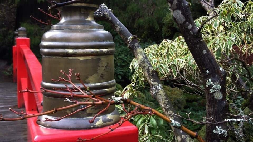 A metallic urn on a red pedestal, surrounded by branches and greenery.