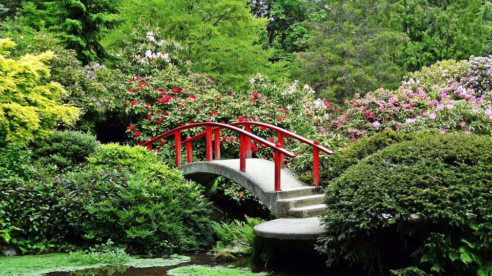 A stone bridge with red railings in a lush garden with various flowering plants and a pond.