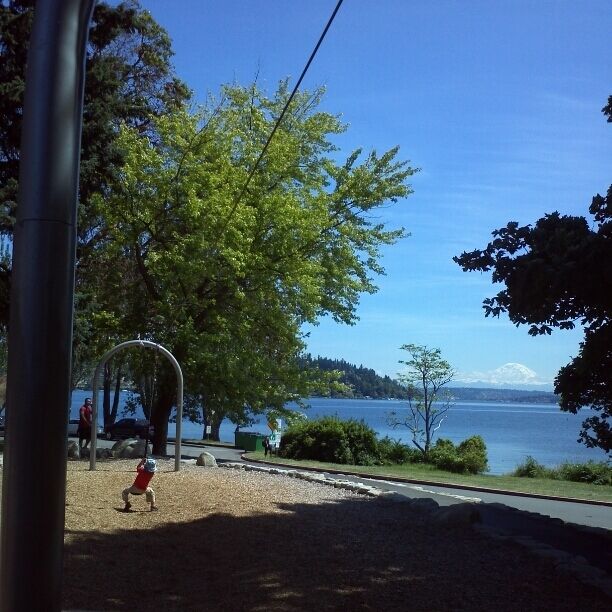 This zip line has the best view in Seattle. Awesome playground at Seward Park, with Lake Washington just steps away and the Audobon Environmental Center next door. The trail around the park has awesome views, or take the trail through the old growth forest.