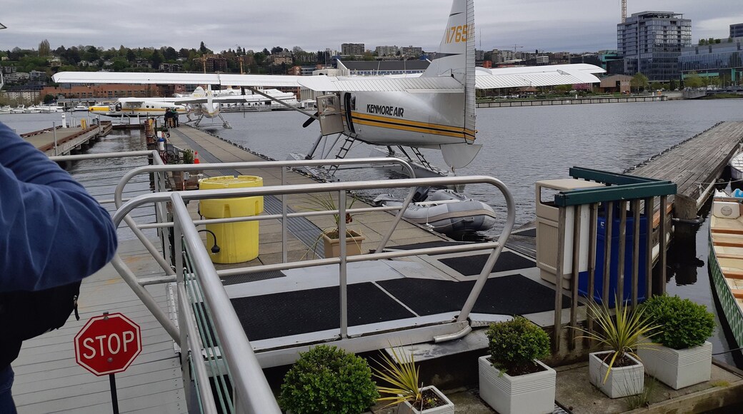 On the way back to Victoria BC