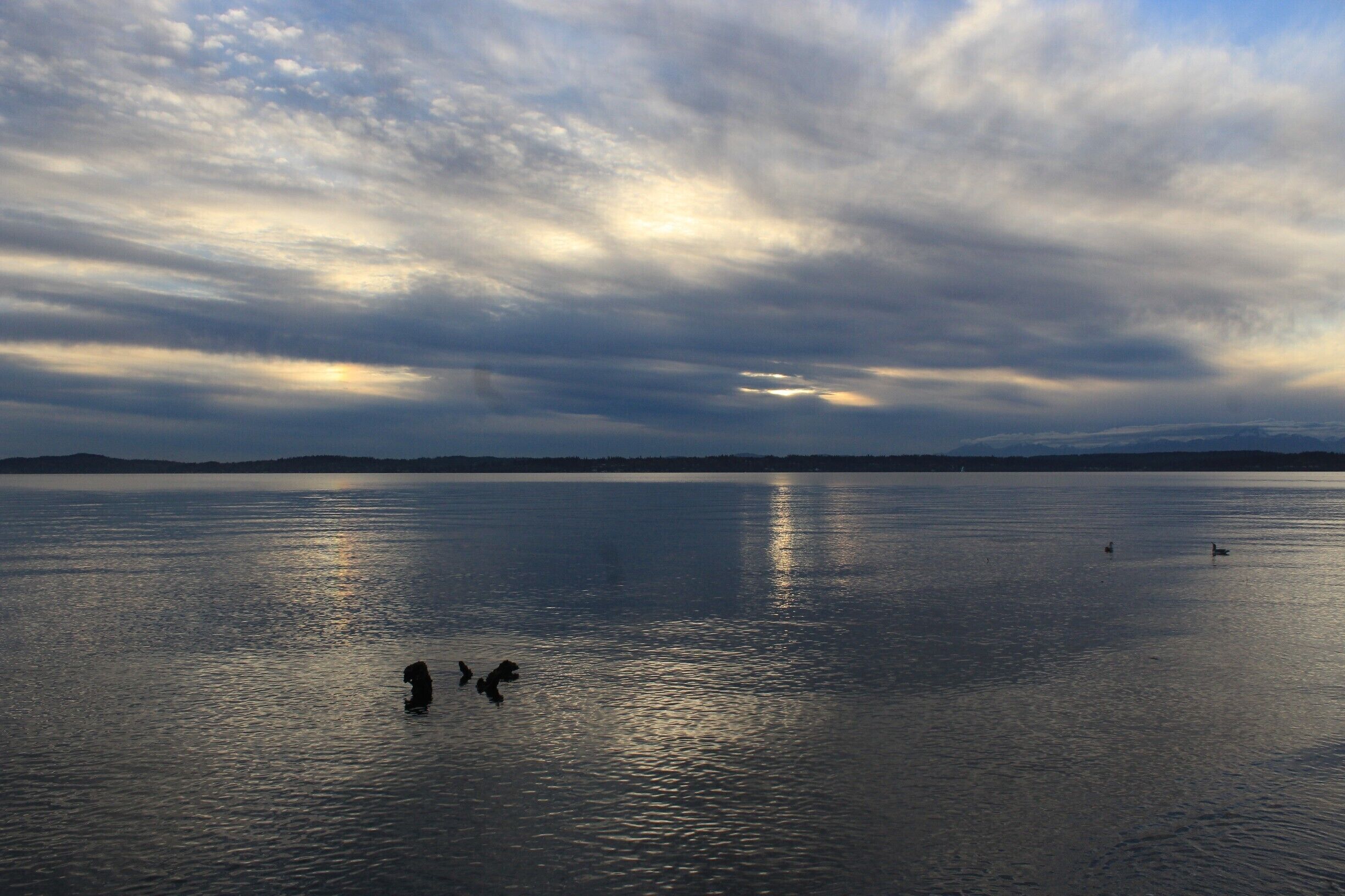Sunset at Discovery Park, Seattle #sunset #seattle #lifeatexpedia