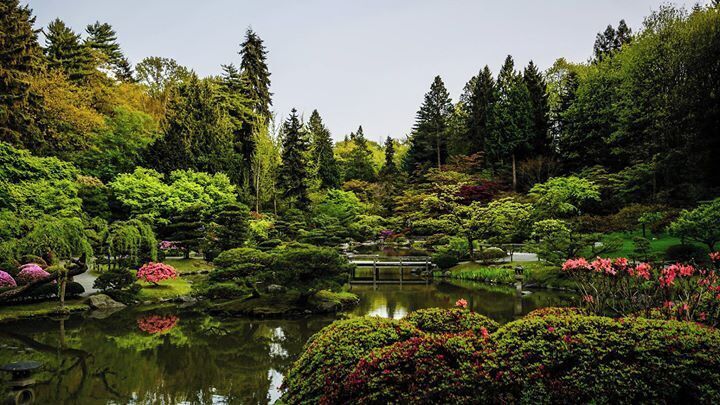 #japanese #garden #seattle #waterlust
