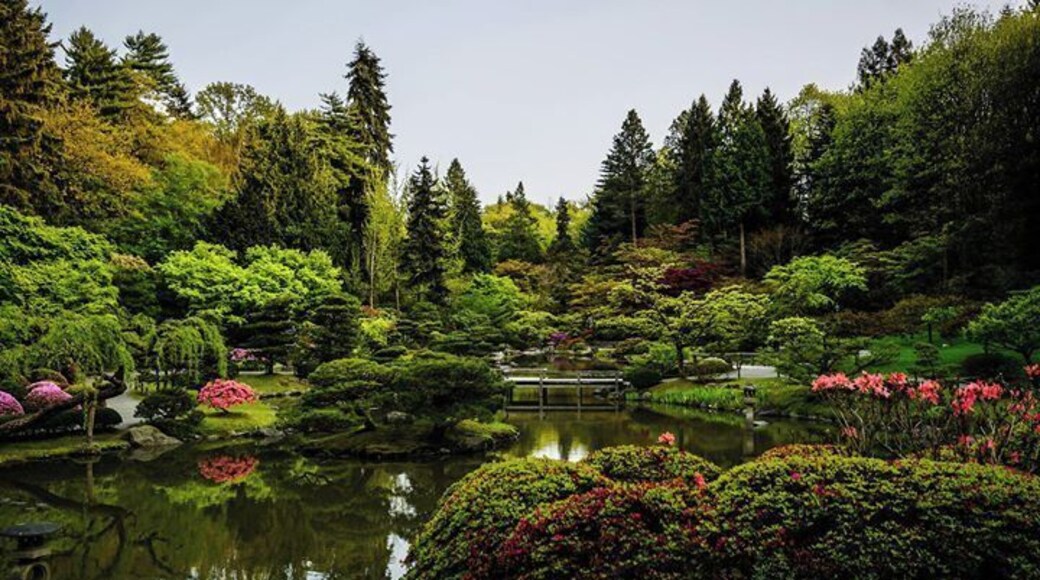 #japanese #garden #seattle #waterlust