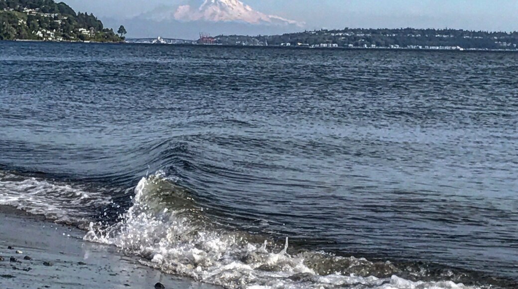 #lifeatexpedia Go on a clear day and you can see Mt. Rainer at its finest.