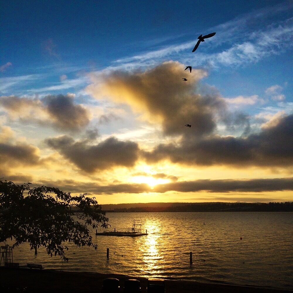 Sunrise at 6:25 am. Open water season is right around the corner. #sunrise #golden #blue   #LifeAtExpedia