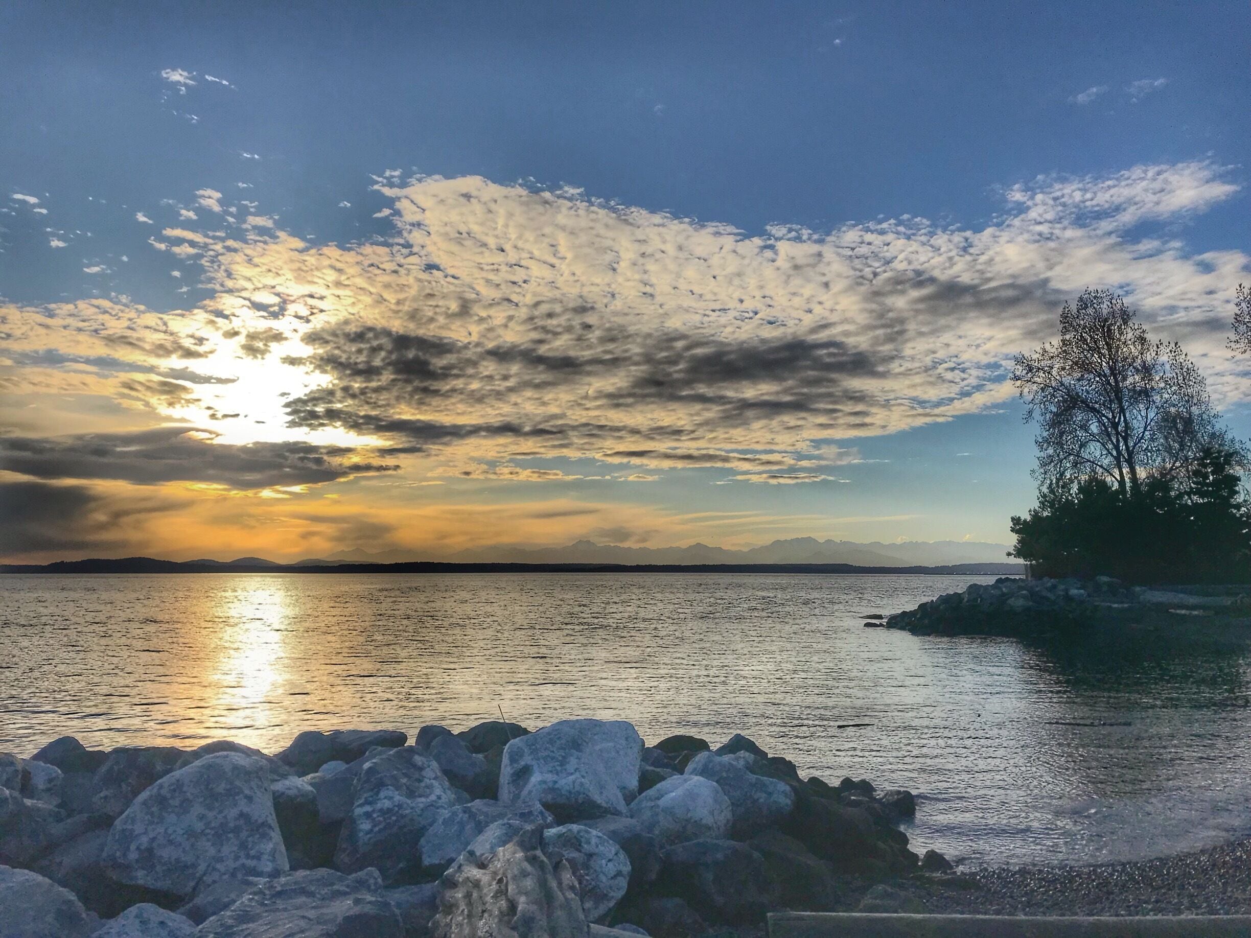 Great easy walking path. And such a cool view of the sound. Great place to see a sunset as well. Plus I saw a number of seals! #PhotoWalkSeattle