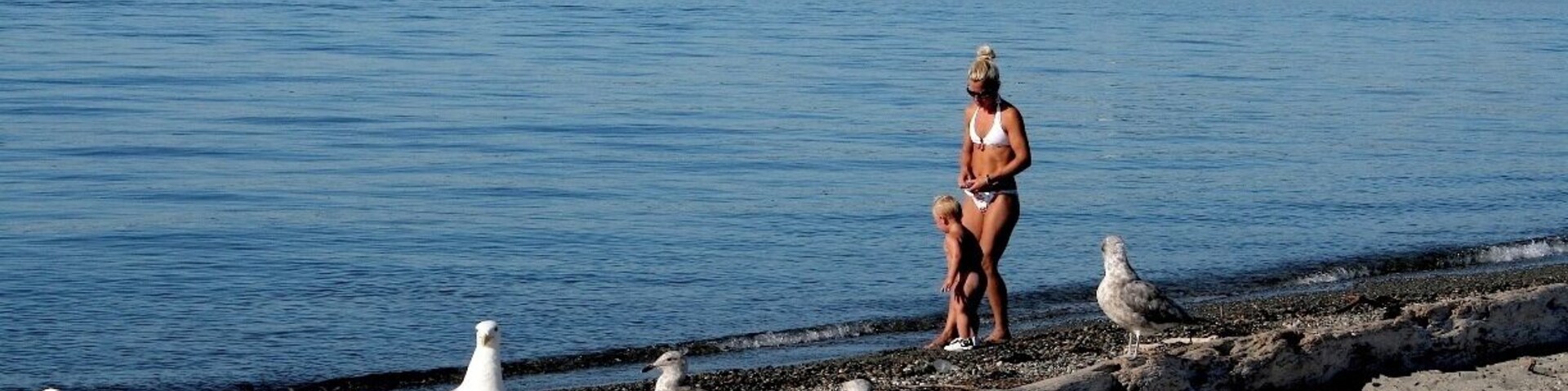 #beach Located in the West Seattle neighborhood of Seattle, Washington that consists of the Elliott Bay beach between Alki Point and Duwamish Head.It has a half-mile (0.8 km) of beachfront, and was the first public salt-water bathing beach on the west coast of the United States. It also where the Tom Hanks in the movie sleepless in seattle brought his Kid using a little motor boat , and played on the beach. In the photo a Lady is playing with her Son with Seagulls scattered around, waiting for food.