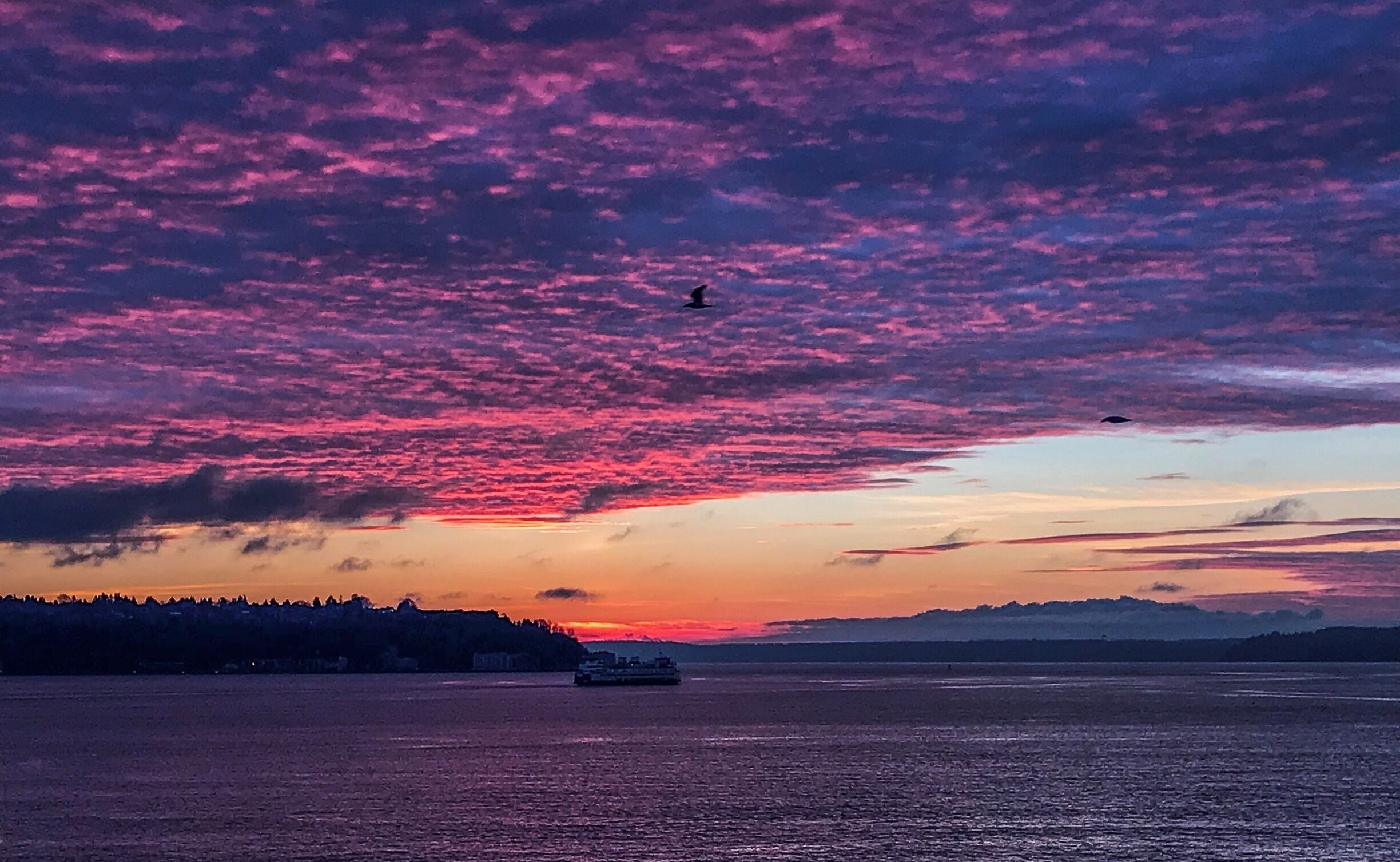 Drama in the sky! #stunningsunsetsky #seattlesunsets #lakewashington