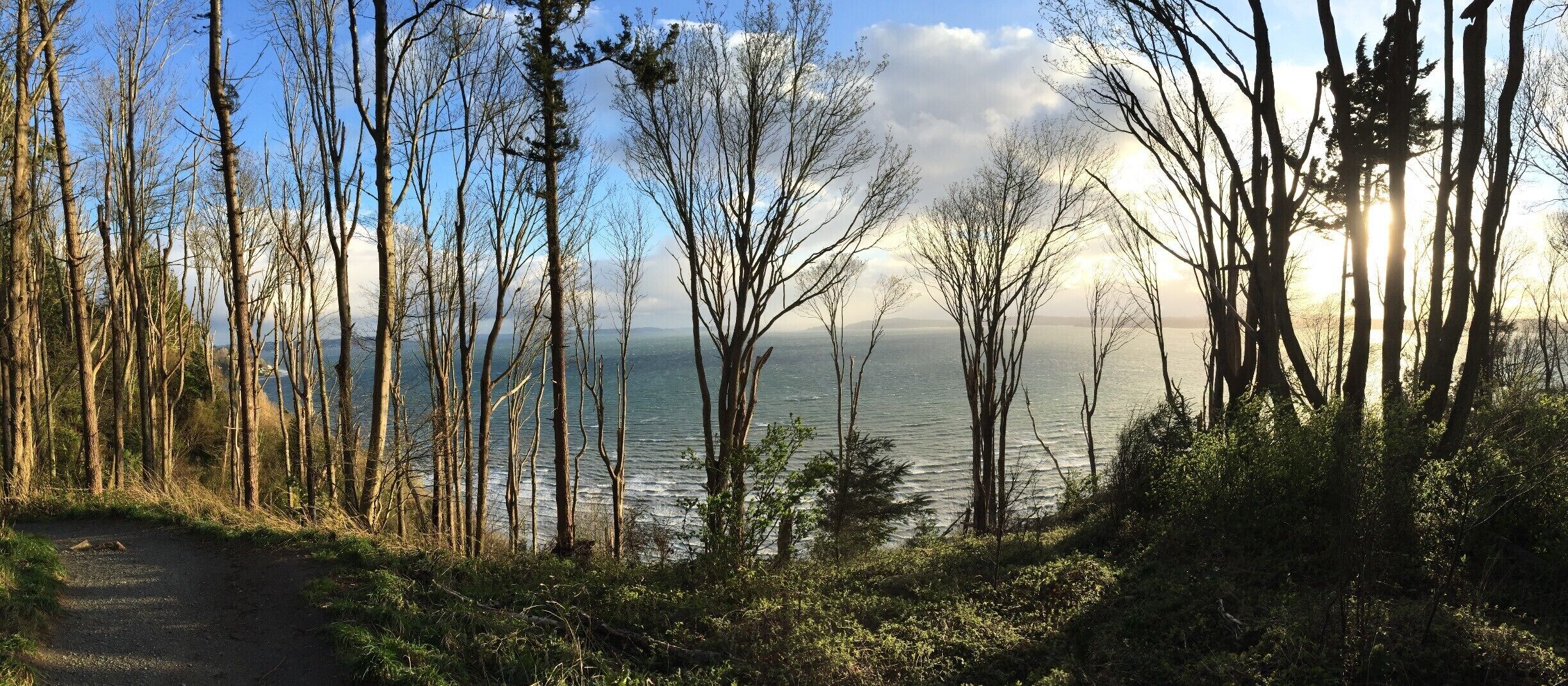 Recently visited Discovery Park during a wind storm, made for some great wave action...