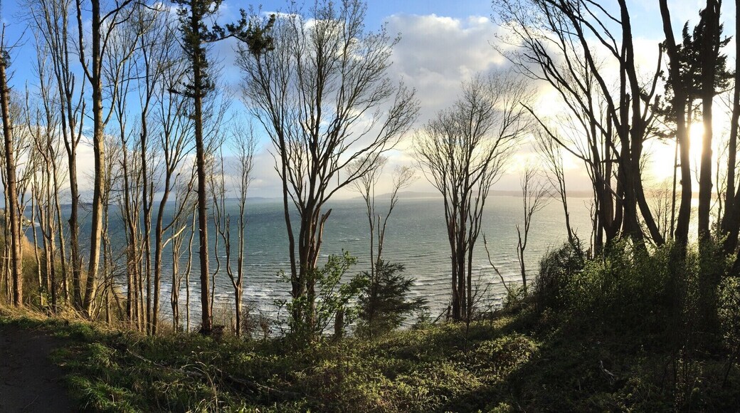 Recently visited Discovery Park during a wind storm, made for some great wave action...