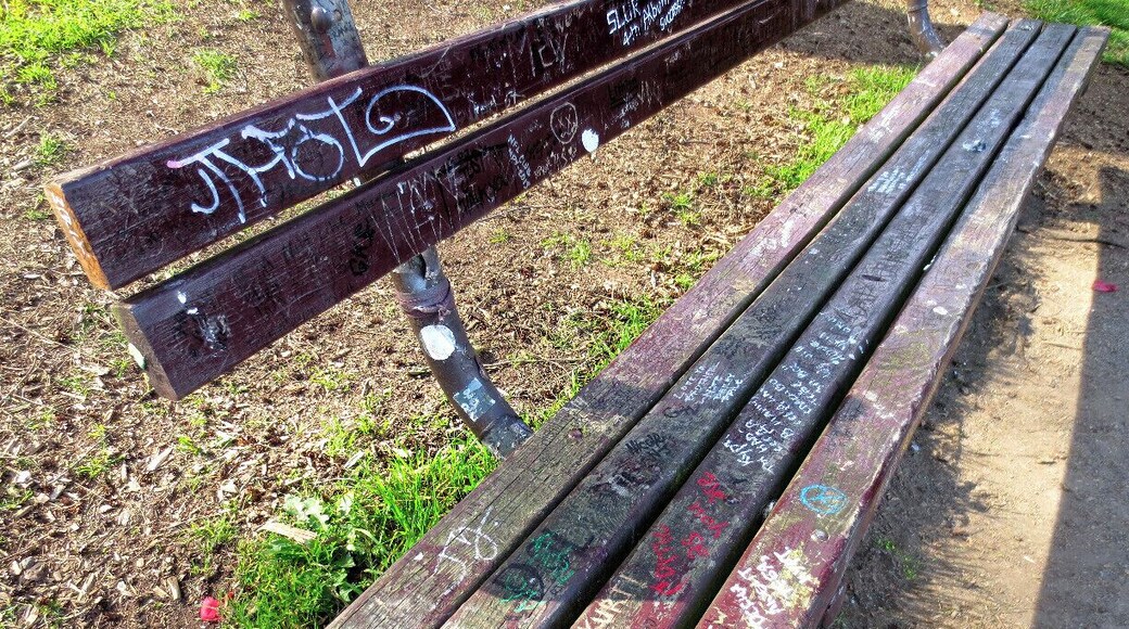 This bench, located in the park adjacent to the house where Kurt Cobain died, has long served as an unofficial memorial to the iconic Nirvana frontman. The bench is covered in graffiti scrawled by hundreds of fans that have visited to pay their respects. You can find this bench by heading south on Lake Washington Blvd from Madison St. It’s on the right, just past Denny Blaine Park.