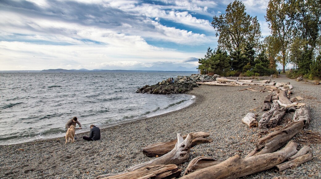 Just north of the Olympic Sculpture Garden in downtown Seattle, and very close to the new home of Expedia, is a long skinny waterfront park, with a pebble beach and views of Eliot Bay.
#LifeAtExpedia
#Beaches
