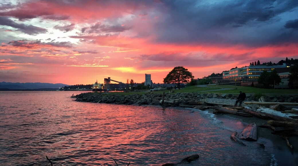 An oasis in downtown Seattle, such a pretty place to walk your dog, picnic, run, bike, and watch sunsets... On a clear day, you get the view of both Mt. Rainier & the Olympic mountains
#AquaTrove
