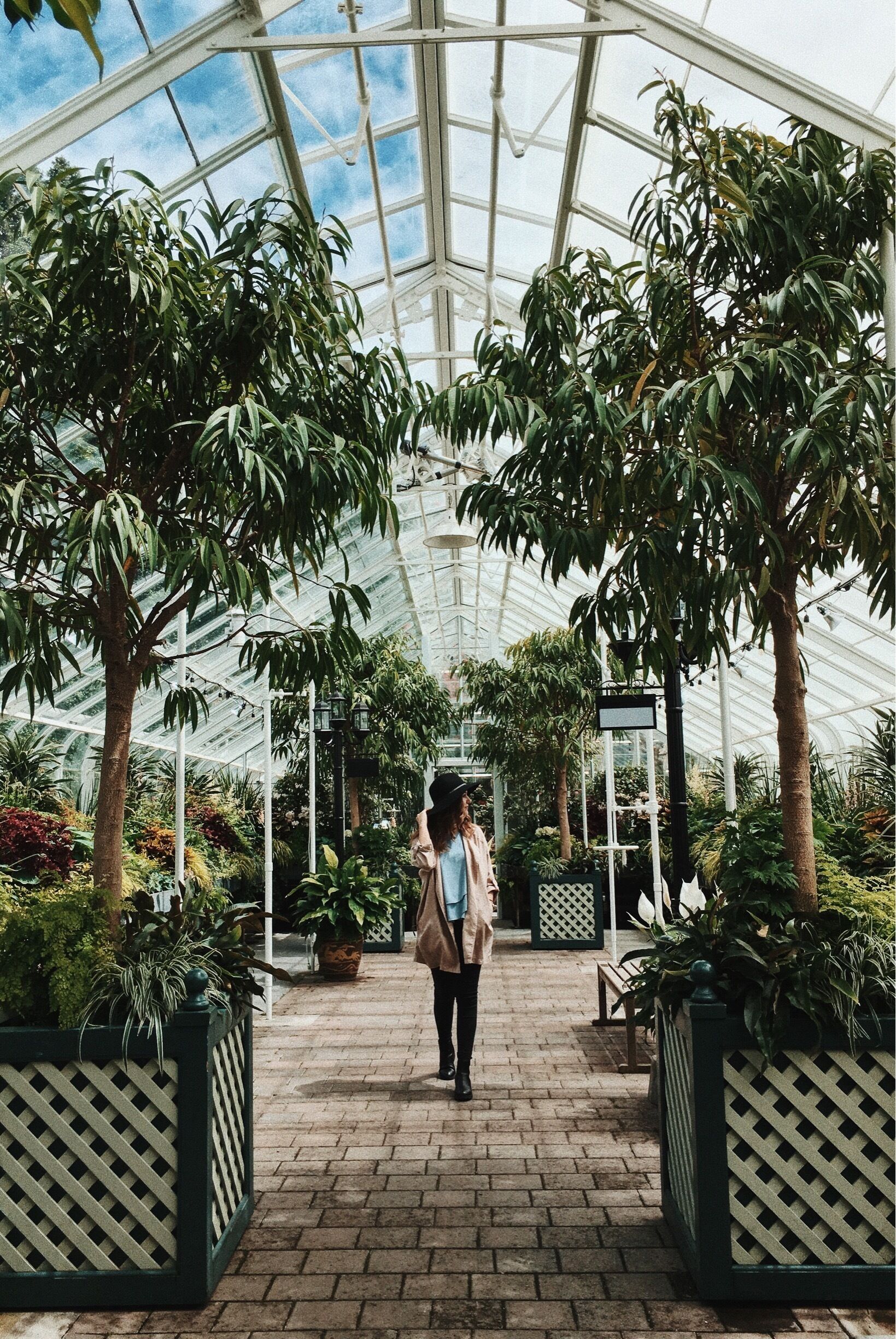 One of the most beautiful hidden treasures of Seattle. This conservatory is a breath of fresh air. 