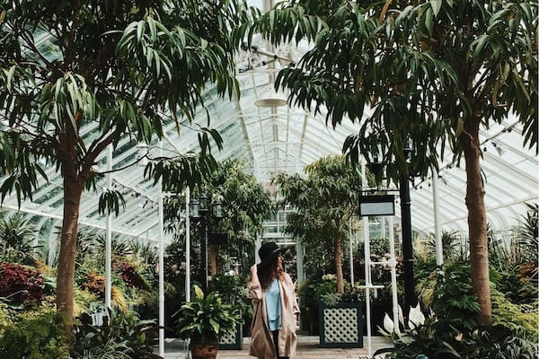 One of the most beautiful hidden treasures of Seattle. This conservatory is a breath of fresh air.