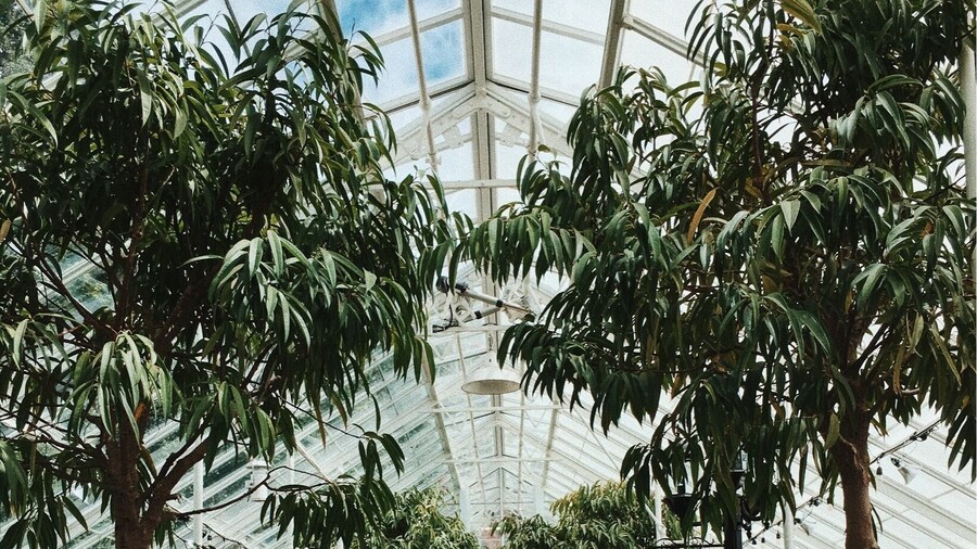 One of the most beautiful hidden treasures of Seattle. This conservatory is a breath of fresh air.