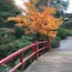 Kubota Garden is a FREE American-Japanese Garden in South Seattle. Waterfalls, bridges, ponds and beautiful foliage!