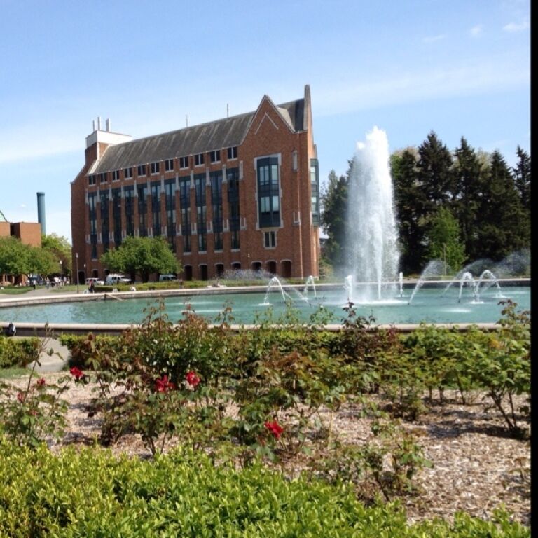 Great day to stop by Drumheller Fountain on your way to class or touring at UW. It seems like it was recently cleaned so the water is a nice serene blue now.  