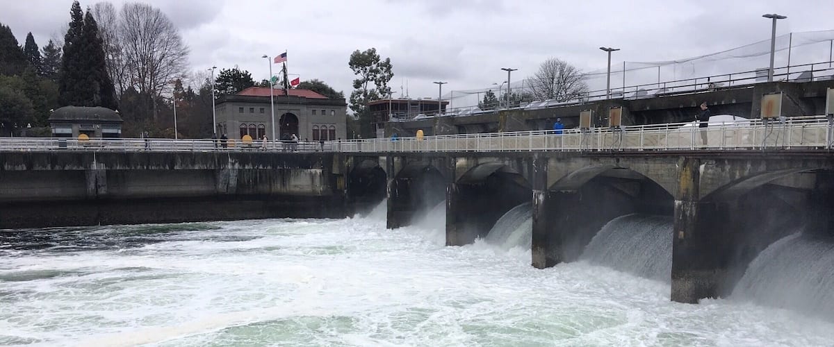 Fun fact: the Ballard Locks carry more boat traffic than any other lock in the US! #StunningStructures #Seattle #PacificNorthwest