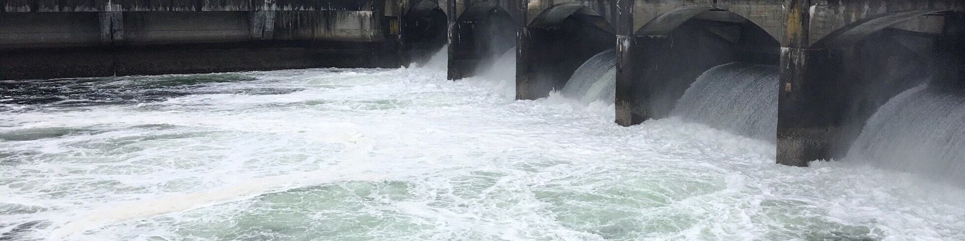 Fun fact: the Ballard Locks carry more boat traffic than any other lock in the US! #StunningStructures #Seattle #PacificNorthwest